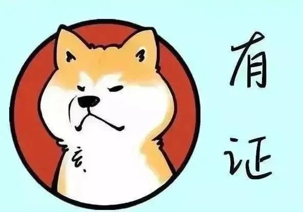 關于文明養(yǎng)犬致全體學生家長的一封信